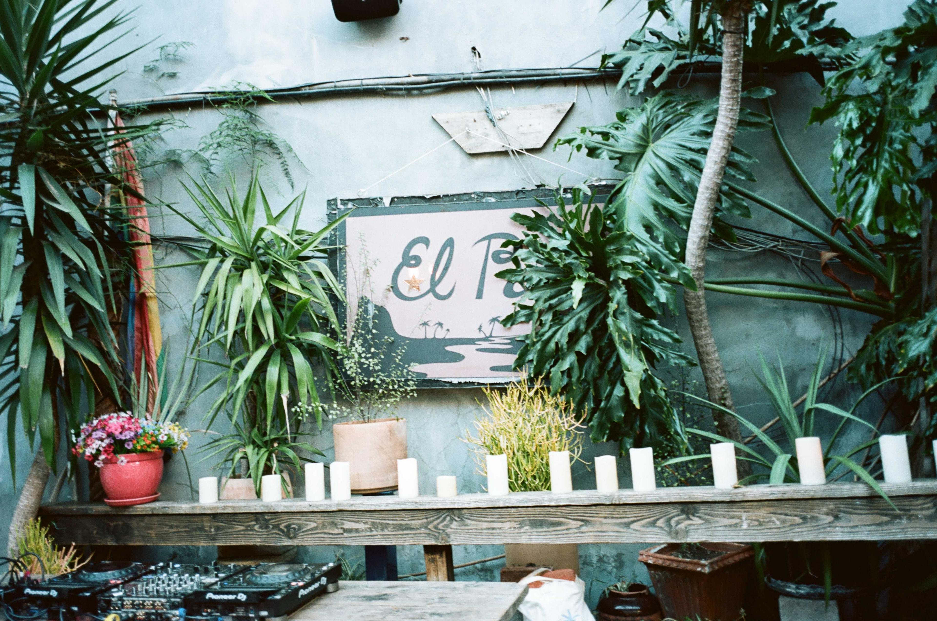 H+J Wedding image 12