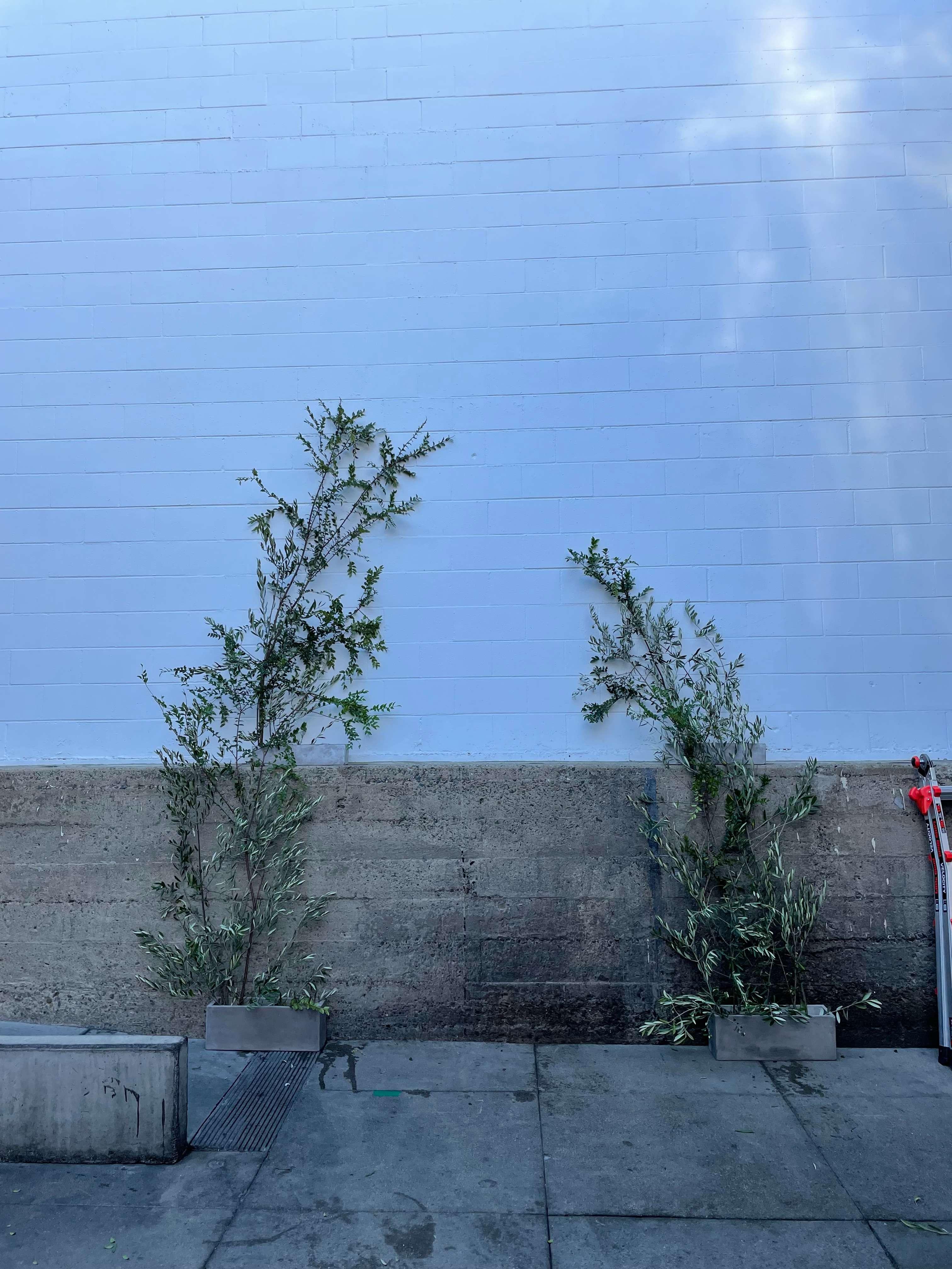 Wedding Floral Design for HerUrbanHerbs image 17