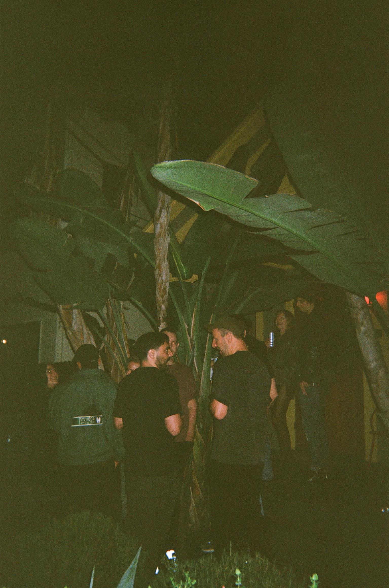 Los Fleaz image 3
