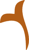 Decorative plant